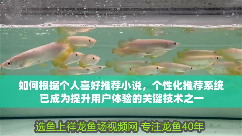 如何根據個人喜好推薦小說，個性化推薦系統已成為提升用戶體驗的關鍵技術之一