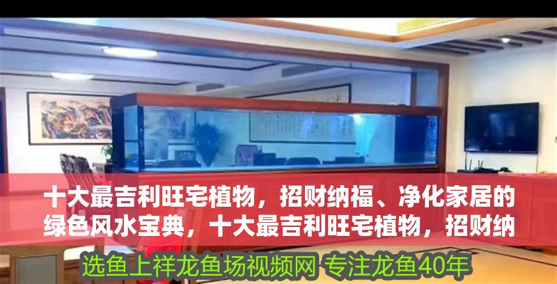 十大最吉利旺宅植物，招財納福、凈化家居的綠色風水寶典，十大最吉利旺宅植物，招財納福·凈化家居的綠色風水寶典