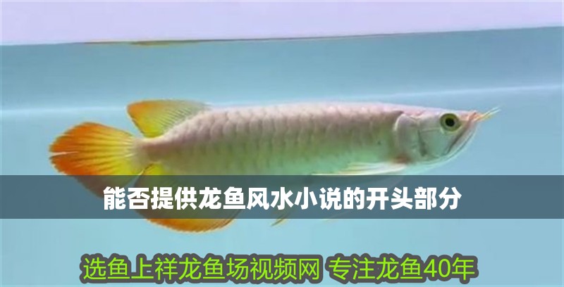 能否提供龍魚風水小說的開頭部分 能否提供龍魚風水小說的開頭部分 龍魚百科