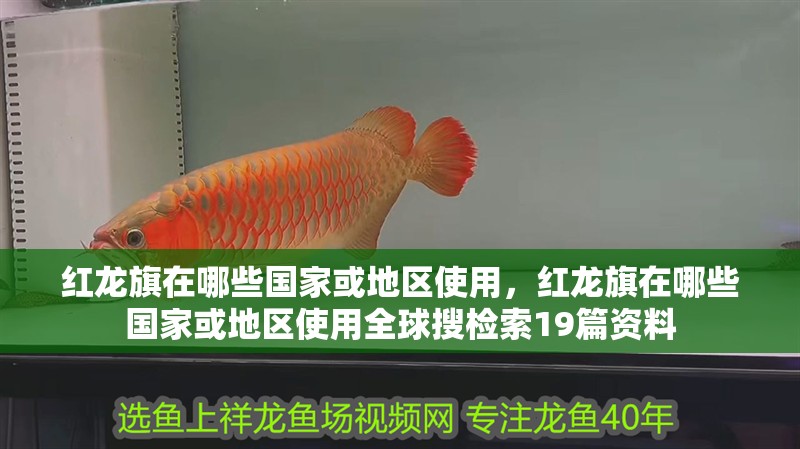 紅龍旗在哪些國家或地區使用，紅龍旗在哪些國家或地區使用全球搜檢索19篇資料 紅龍旗在哪些國家或地區使用，紅龍旗在哪些國家或地區使用全球搜檢索19篇資料 龍魚百科