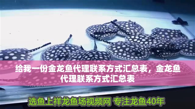 給我一份金龍魚代理聯系方式匯總表，金龍魚代理聯系方式匯總表 給我一份金龍魚代理聯系方式匯總表，金龍魚代理聯系方式匯總表 龍魚百科