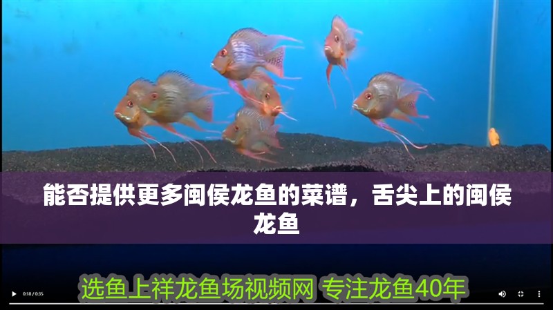 能否提供更多閩侯龍魚的菜譜，舌尖上的閩侯龍魚 能否提供更多閩侯龍魚的菜譜，舌尖上的閩侯龍魚 龍魚百科