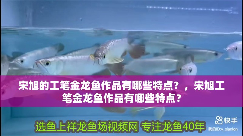 宋旭的工筆金龍魚作品有哪些特點？，宋旭工筆金龍魚作品有哪些特點？