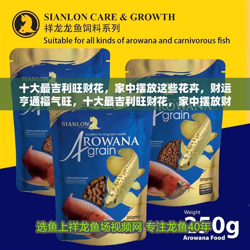 十大最吉利旺財花，家中擺放這些花卉，財運亨通福氣旺，十大最吉利旺財花，家中擺放財運亨通福氣旺