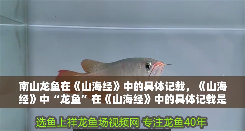 <strong><mark>南山</mark></strong>龍魚在《山海經》中的具體記載，《山海經》中“龍魚”在《山海經》中的具體記載是什么