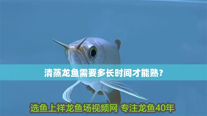 清蒸龍魚需要多長時間才能熟？ 清蒸龍魚需要多長時間才能熟？ 龍魚百科
