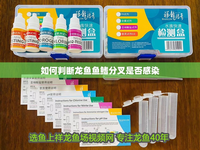 魚缸用增氧泵價格是多少:魚缸增氧機-xtrac增氧機-xtrac增氧機 如何判斷龍魚魚鰭分叉是否感染 龍魚百科 如何判斷龍魚魚鰭分叉是否感染 如何判斷龍魚魚鰭分叉是否感染 龍魚百科