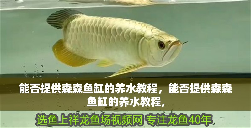 能否提供森森魚缸的養(yǎng)水教程，能否提供森森魚缸的養(yǎng)水教程, 能否提供森森魚缸的養(yǎng)水教程，能否提供森森魚缸的養(yǎng)水教程, 龍魚百科