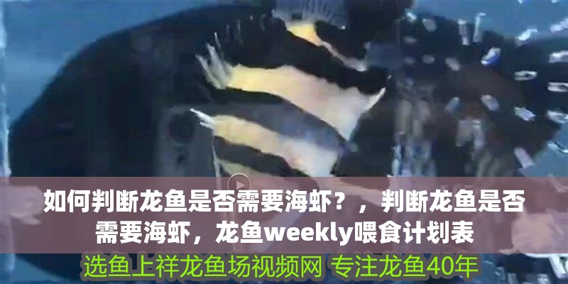 龍魚干蝦有營養嗎 如何判斷龍魚是否需要海蝦?,判斷龍魚是否需要海蝦,龍魚weekly喂食計劃表 龍魚百科 如何判斷龍魚是否需要海蝦?,判斷龍魚是否需要海蝦,龍魚weekly喂食計劃表 如何判斷龍魚是否需要海蝦?,判斷龍魚是否需要海蝦,龍魚weekly喂食計劃表 龍魚百科