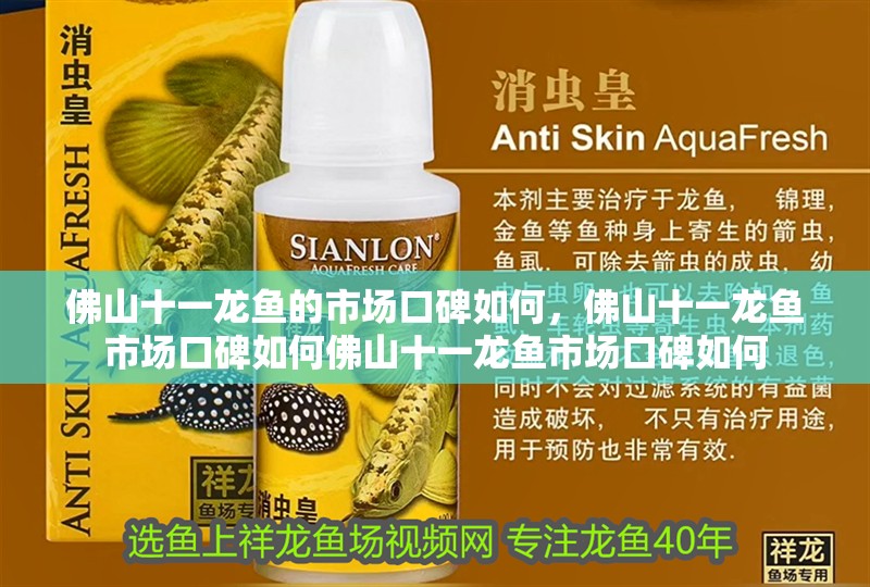 佛山十一龍魚的市場口碑如何，佛山十一龍魚市場口碑如何佛山十一龍魚市場口碑如何