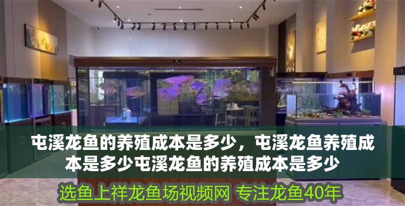 屯溪龍魚的養(yǎng)殖成本是多少，屯溪龍魚養(yǎng)殖成本是多少屯溪龍魚的養(yǎng)殖成本是多少