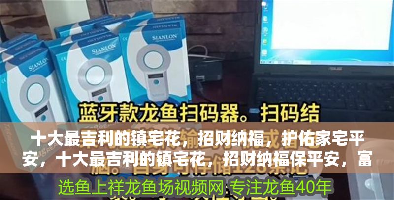 十大最吉利的鎮(zhèn)宅花，招財納福，護佑家宅平安，十大最吉利的鎮(zhèn)宅花，招財納福保平安，富貴吉祥旺家宅 十大最吉利的鎮(zhèn)宅花，招財納福，護佑家宅平安，十大最吉利的鎮(zhèn)宅花，招財納福保平安，富貴吉祥旺家宅 龍魚百科 第1張