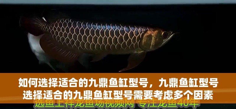 如何選擇適合的九鼎魚缸型號，九鼎魚缸型號選擇適合的九鼎魚缸型號需要考慮多個因素