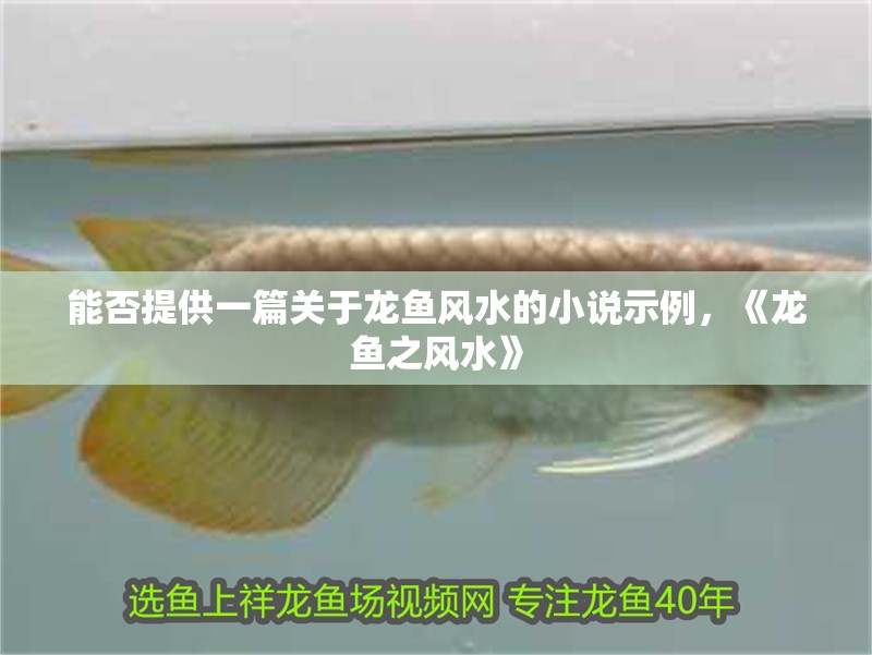 能否提供一篇關于龍魚風水的小說示例，《龍魚之風水》