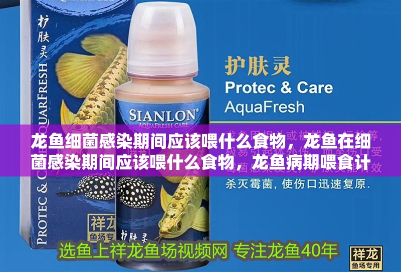 龍魚細菌感染期間應該喂什么食物，龍魚在細菌感染期間應該喂什么食物，龍魚病期喂食計劃表