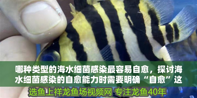 哪種類型的海水細菌感染最容易自愈，探討海水細菌感染的自愈能力時需要明確“自愈”這一概念