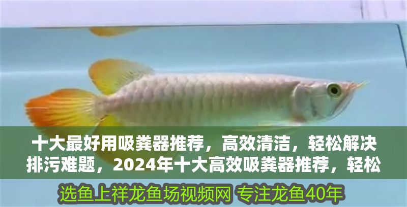 十大最好用吸糞器推薦，高效清潔，輕松解決排污難題，2024年十大高效吸糞器推薦，輕松排污，清潔無憂