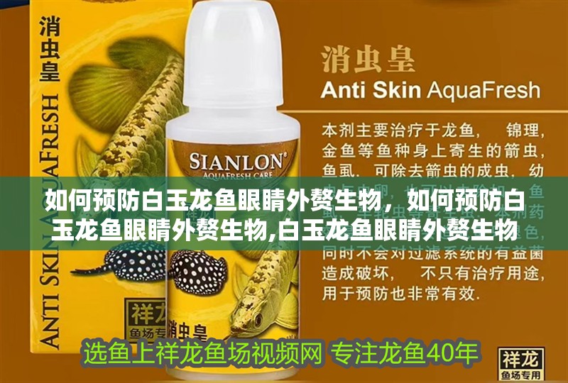 如何預防白玉龍魚眼睛外贅生物，如何預防白玉龍魚眼睛外贅生物,白玉龍魚眼睛外贅生物