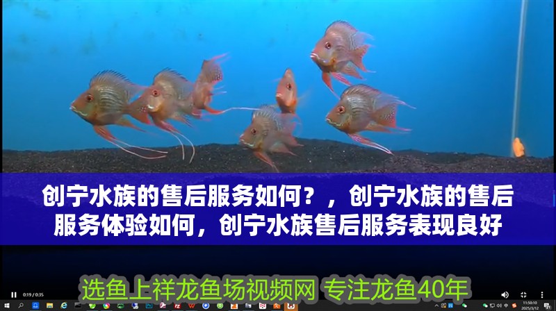 魚缸用增氧泵價(jià)格是多少:魚缸增氧機(jī)-xtrac增氧機(jī)-xtrac增氧機(jī) 創(chuàng)寧水族的售后服務(wù)如何?,創(chuàng)寧水族的售后服務(wù)體驗(yàn)如何,創(chuàng)寧水族售后服務(wù)表現(xiàn)良好 龍魚百科 創(chuàng)寧水族的售后服務(wù)如何?,創(chuàng)寧水族的售后服務(wù)體驗(yàn)如何,創(chuàng)寧水族售后服務(wù)表現(xiàn)良好 創(chuàng)寧水族的售后服務(wù)如何?,創(chuàng)寧水族的售后服務(wù)體驗(yàn)如何,創(chuàng)寧水族售后服務(wù)表現(xiàn)良好 龍魚百科