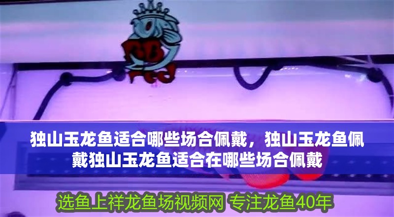 獨山玉龍魚適合哪些場合佩戴，獨山玉龍魚佩戴獨山玉龍魚適合在哪些場合佩戴