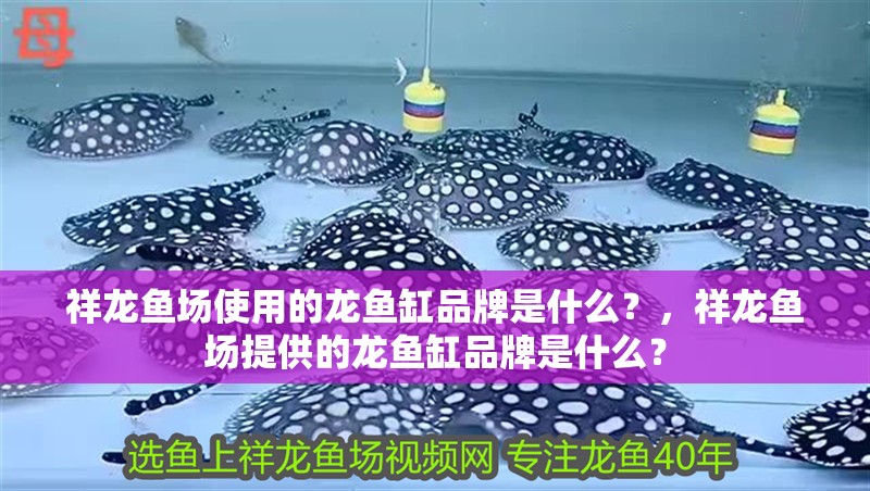 祥龍魚場使用的龍魚缸品牌是什么？，祥龍魚場提供的龍魚缸品牌是什么？