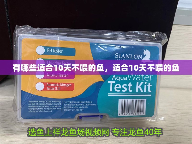 有哪些適合10天不喂的魚，適合10天不喂的魚