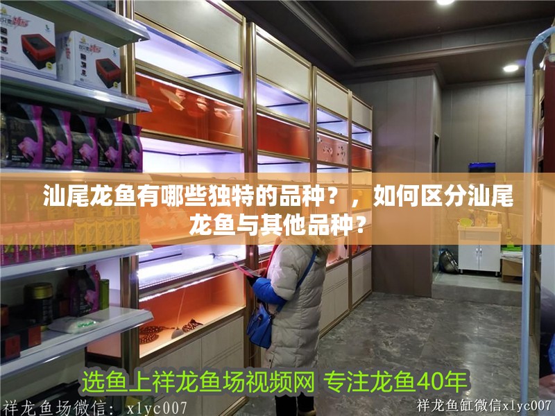 汕尾龍魚有哪些獨特的品種？，如何區分汕尾龍魚與其他品種？ 汕尾龍魚有哪些獨特的品種？，如何區分汕尾龍魚與其他品種？ 龍魚百科