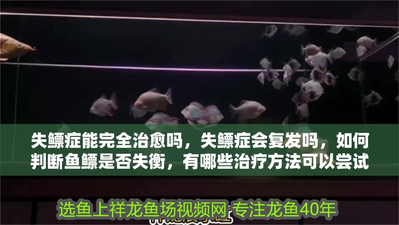 失鰾癥能完全治愈嗎，失鰾癥會復發嗎，如何判斷魚鰾是否失衡，有哪些治療方法可以嘗試 失鰾癥能完全治愈嗎，失鰾癥會復發嗎，如何判斷魚鰾是否失衡，有哪些治療方法可以嘗試 龍魚百科