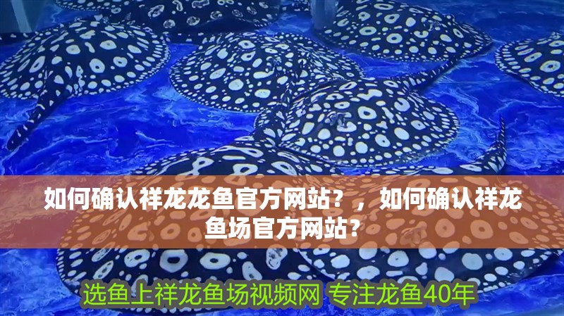 如何確認祥龍龍魚官方網站？，如何確認祥龍魚場官方網站？ 如何確認祥龍龍魚官方網站？，如何確認祥龍魚場官方網站？ 龍魚百科