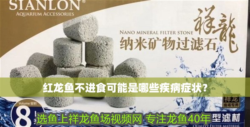 紅龍魚不進食可能是哪些疾病癥狀？