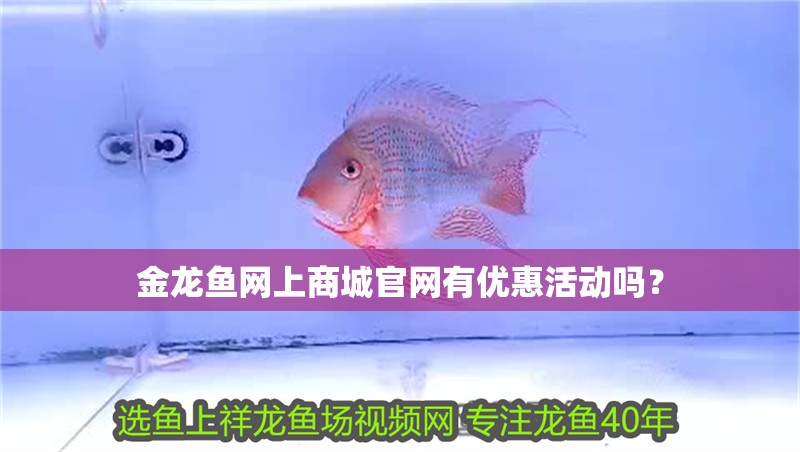 金龍魚網(wǎng)上商城官網(wǎng)有優(yōu)惠活動(dòng)嗎？
