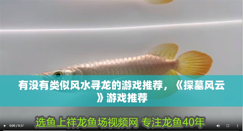 有沒有類似風水尋龍的游戲推薦，《探墓風云》游戲推薦 有沒有類似風水尋龍的游戲推薦，《探墓風云》游戲推薦 龍魚百科