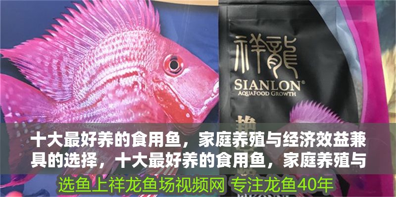 十大最好養(yǎng)的食用魚，家庭養(yǎng)殖與經(jīng)濟(jì)效益兼具的選擇，十大最好養(yǎng)的食用魚，家庭養(yǎng)殖與經(jīng)濟(jì)效益雙贏之選