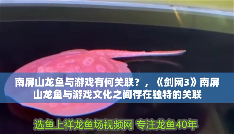 南<strong><mark>屏山</mark></strong>龍魚與游戲有何關(guān)聯(lián)？，《劍網(wǎng)3》南<strong><mark>屏山</mark></strong>龍魚與游戲文化之間存在獨(dú)特的關(guān)聯(lián)