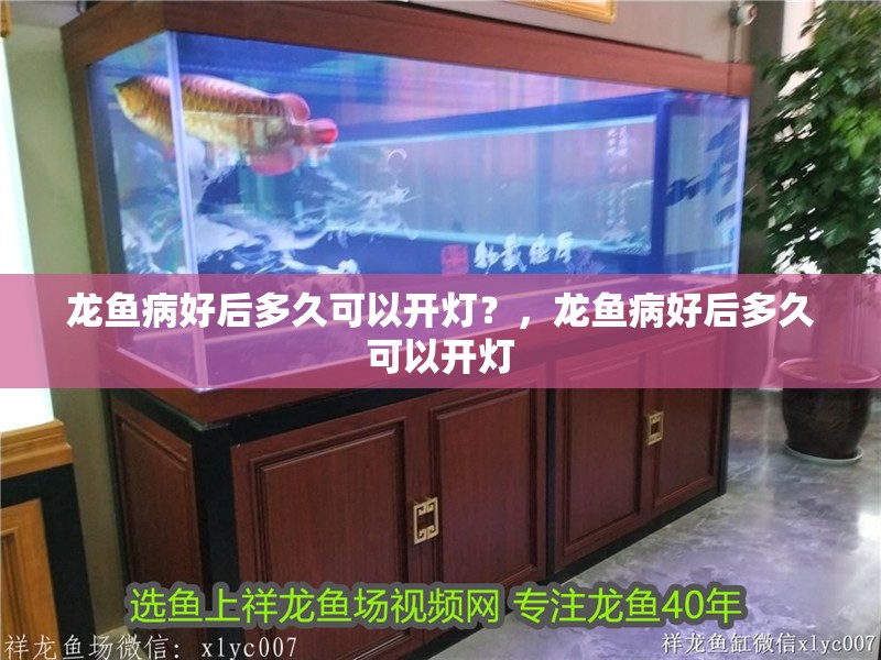龍魚病好后多久可以開燈？，龍魚病好后多久可以開燈