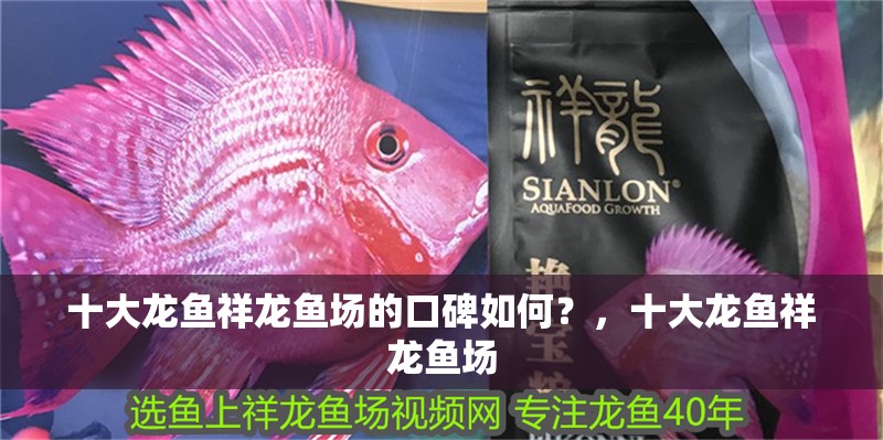 十大龍魚祥龍魚場的口碑如何？，十大龍魚祥龍魚場