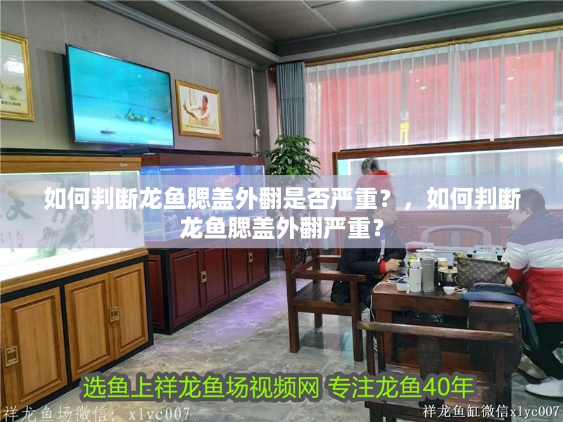 如何判斷龍魚腮蓋外翻是否嚴重？，如何判斷龍魚腮蓋外翻嚴重？