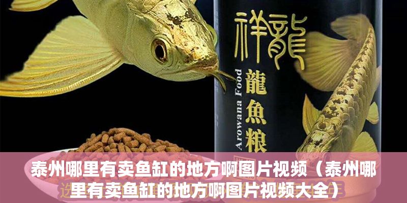 泰州哪里有賣魚缸的地方啊圖片視頻（泰州哪里有賣魚缸的地方啊圖片視頻大全）