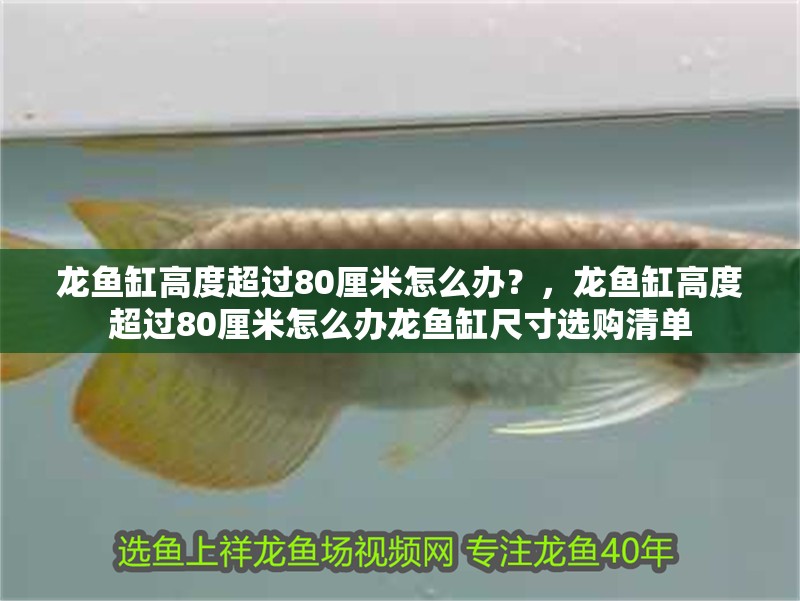 龍魚缸高度超過80厘米怎么辦？，龍魚缸高度超過80厘米怎么辦龍魚缸尺寸選購清單 龍魚缸高度超過80厘米怎么辦？，龍魚缸高度超過80厘米怎么辦龍魚缸尺寸選購清單 龍魚百科