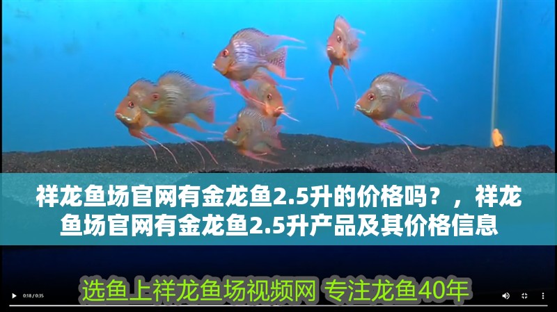 祥龍魚場官網有金龍魚2.5升的價格嗎？，祥龍魚場官網有金龍魚2.5升產品及其價格信息 祥龍魚場官網有金龍魚2.5升的價格嗎？，祥龍魚場官網有金龍魚2.5升產品及其價格信息 龍魚百科