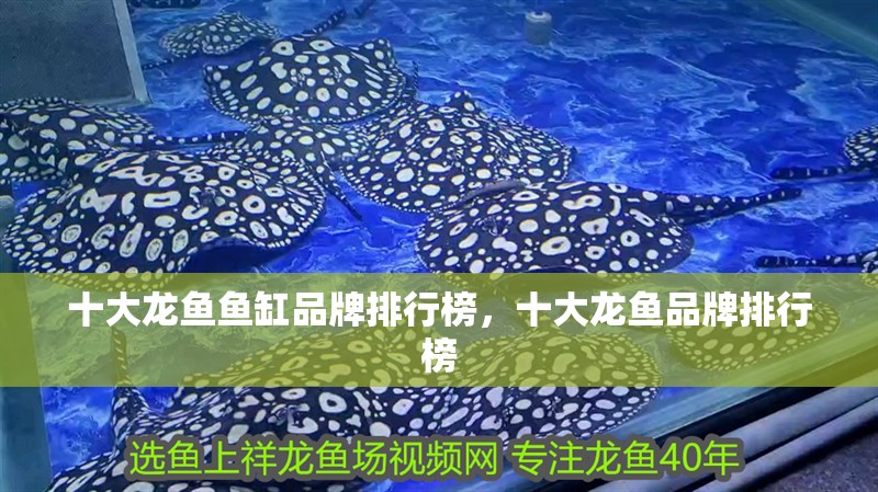 我的虎魚真菌感染了要怎么處理 十大龍魚魚缸品牌排行榜,十大龍魚品牌排行榜 龍魚百科 十大龍魚魚缸品牌排行榜,十大龍魚品牌排行榜 十大龍魚魚缸品牌排行榜,十大龍魚品牌排行榜 龍魚百科