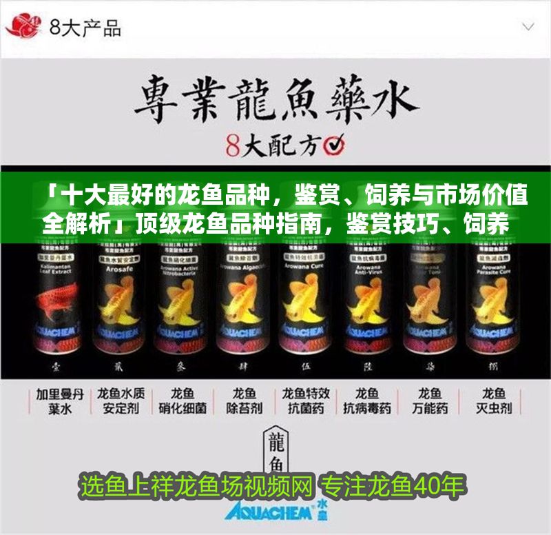 「十大最好的龍魚品種，鑒賞、飼養與市場價值全解析」頂級龍魚品種指南，鑒賞技巧、飼養要點與市場價值深度解析 「十大最好的龍魚品種，鑒賞、飼養與市場價值全解析」頂級龍魚品種指南，鑒賞技巧、飼養要點與市場價值深度解析 龍魚百科 第1張