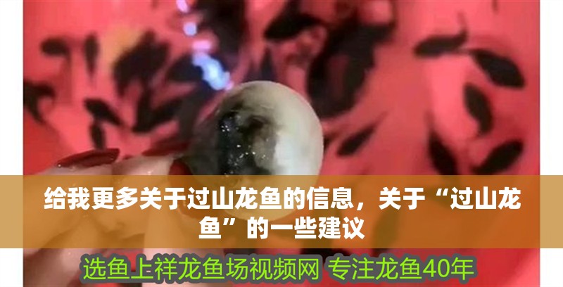 給我更多關于過山龍魚的信息，關于“過山龍魚”的一些建議 給我更多關于過山龍魚的信息，關于“過山龍魚”的一些建議 龍魚百科