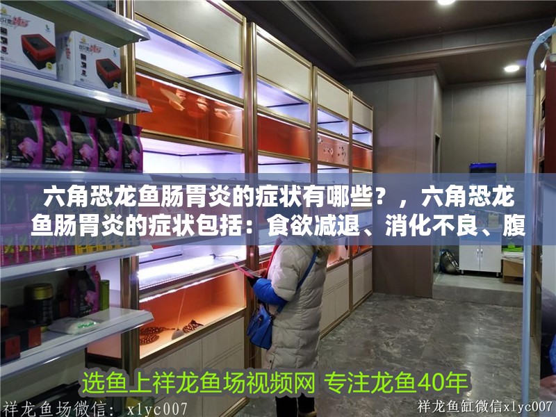 六角恐龍魚腸胃炎的癥狀有哪些？，六角恐龍魚腸胃炎的癥狀包括：食欲減退、消化不良、腹瀉或嘔吐 六角恐龍魚腸胃炎的癥狀有哪些？，六角恐龍魚腸胃炎的癥狀包括：食欲減退、消化不良、腹瀉或嘔吐 龍魚百科