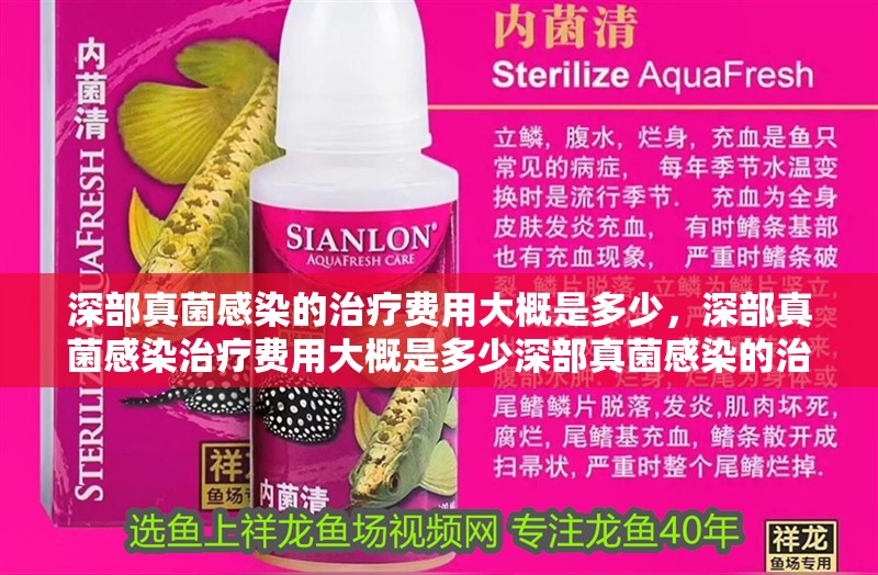 魚缸過濾器選購指南:自制魚缸過濾器魚缸上置過濾器對于養(yǎng)魚愛好者的必備知識 深部真菌感染的治療費用大概是多少,深部真菌感染治療費用大概是多少深部真菌感染的治療費用大概是多少 龍魚百科 深部真菌感染的治療費用大概是多少,深部真菌感染治療費用大概是多少深部真菌感染的治療費用大概是多少 深部真菌感染的治療費用大概是多少,深部真菌感染治療費用大概是多少深部真菌感染的治療費用大概是多少 龍魚百科