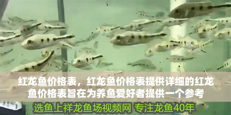 玻璃做魚缸怎么粘才牢固:如何自制玻璃魚缸 紅龍魚價格表,紅龍魚價格表提供詳細的紅龍魚價格表旨在為養魚愛好者提供一個參考 龍魚百科 紅龍魚價格表,紅龍魚價格表提供詳細的紅龍魚價格表旨在為養魚愛好者提供一個參考 紅龍魚價格表,紅龍魚價格表提供詳細的紅龍魚價格表旨在為養魚愛好者提供一個參考 龍魚百科