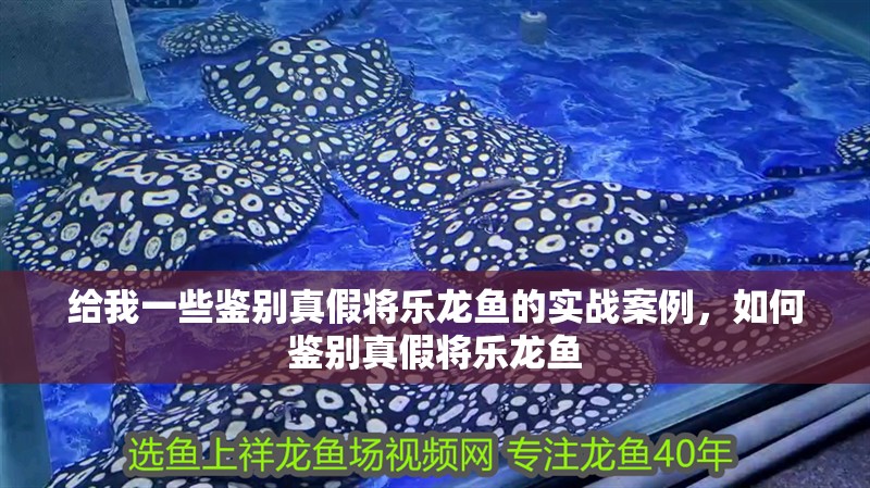 給我一些鑒別真假將樂龍魚的實戰案例，如何鑒別真假將樂龍魚