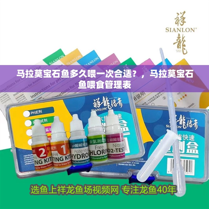 馬拉莫寶石魚多久喂一次合適？，馬拉莫寶石魚喂食管理表