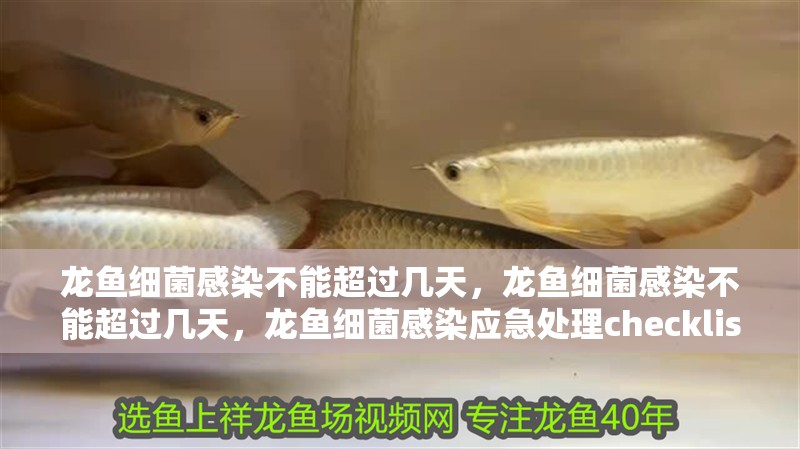 龍魚細菌感染不能超過幾天，龍魚細菌感染不能超過幾天，龍魚細菌感染應急處理checklist 龍魚細菌感染不能超過幾天，龍魚細菌感染不能超過幾天，龍魚細菌感染應急處理checklist 龍魚百科