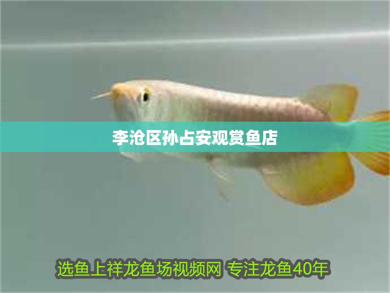 李滄區孫占安觀賞魚店 李滄區孫占安觀賞魚店 全國水族館企業名錄 第1張